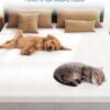 3" [Full XL] Mattress Topper, Memory Foam Mattress Topper Full Extra Long for College Dorm with Ultra Soft Cover & Corner Straps, CertiPUR-US Certified - Image 3