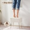 Vanity Stool Chair with Storage Soft Faux Fur Vanity Stool for Makeup Foot Stools Ottoman Make up Small Bench Seat Chairs for Couch Entryway Living Room Bedroom - Image 8