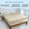 7 Zone Green Natural Organic Latex Mattress Topper Twin XL Size - 3 inch - Medium Firmness - GOLS Certified Latex Foam Bed Pad for College Dorm Room Durable and Breathable Zonal Support - Image 7