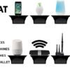 Storage Theory Horizontal Wall Outlet Shelf - Convert Your Outlet into Display Shelves - Alexa Speaker Stand, Electric Toothbrush Holder - Light Socket Shelf 1 Pack, Black - Image 4